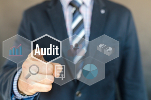 TFG provides continuous monitoring for medical claim auditing and prescription drug claims auditing.