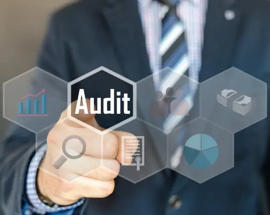 TFG provides continuous monitoring for medical claim auditing and prescription drug claims auditing.